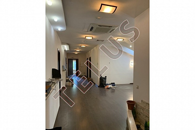 ул Руставели. 1 034 кв.м. Продажа , ID объекта 5079 - 2