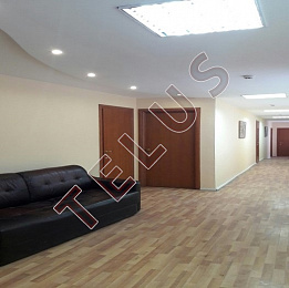 Каретный Б. пер. 479.20 кв.м. Продажа , ID объекта 4286 - 6
