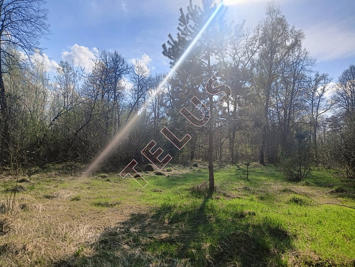 Город Ногинск (пригород),  ул. Дядькино, 61 а.Коммерческой недвижимости, ID объекта 8364 - 28