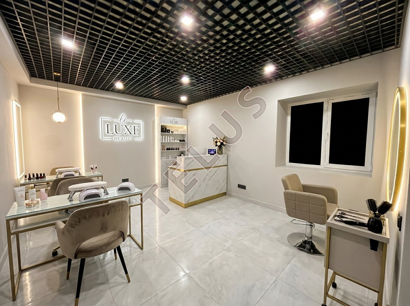 Новоспасский пер. 386.80 кв.м. Продажа , ID объекта 8367 - 6