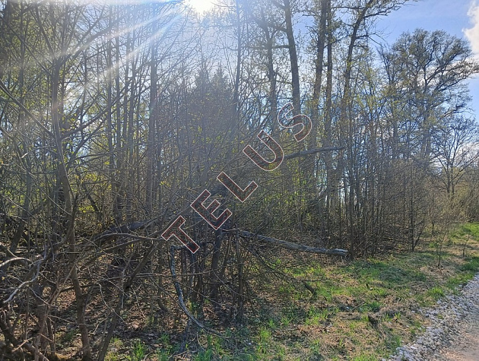 Город Ногинск (пригород),  ул. Дядькино, 61 а.Коммерческой недвижимости, ID объекта 8364 - 14