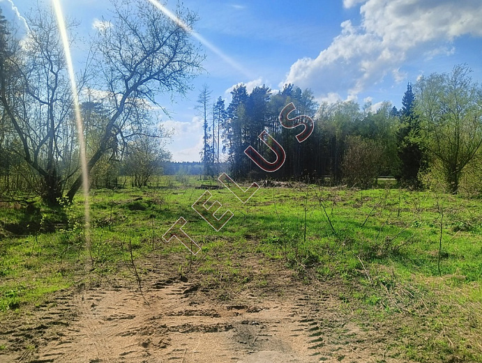 Город Ногинск (пригород),  ул. Дядькино, 61 а.Коммерческой недвижимости, ID объекта 8364 - 27