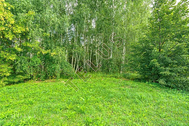 74 000 кв.м. Продажа , ID объекта 7923 - 3