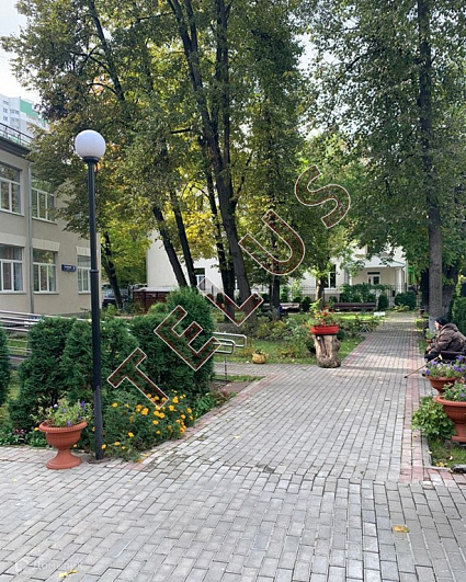 Здание с арендатором, ID объекта 8044 - 10