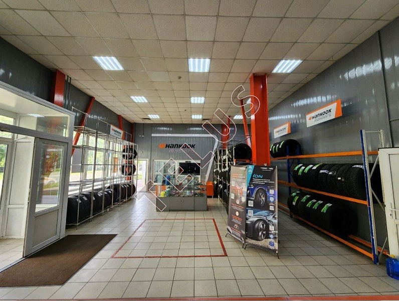 Берёзовая аллея. 930 кв.м. Продажа , ID объекта 8319 - 5
