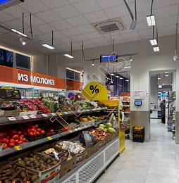 ул Маршала Василевского. 481 кв.м. Продажа , ID объекта 8452 - 5