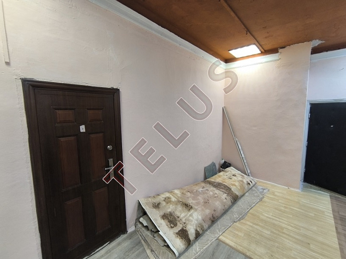 Особняк в центре, ID объекта 8422 - 17