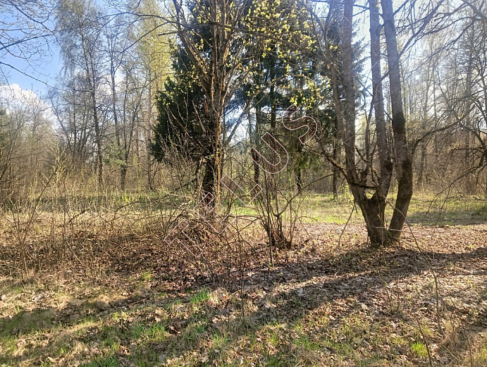 Город Ногинск (пригород),  ул. Дядькино, 61 а.Коммерческой недвижимости, ID объекта 8364 - 8